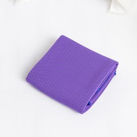 Sports Towel Physical Cooling Microfiber Instant Cool Ice Face Towels For Gym Swimming Yoga Running Cycling Quick Drying Towel (Specification: Purple/30x100cm/OPP bag)