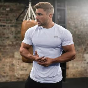 Gym Short Sleeve T Quick Dry Gym Clothes For Running (Specification: DT2 white/2XL)