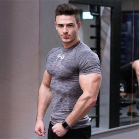 Gym Short Sleeve T Quick Dry Gym Clothes For Running (Specification: Grey/L)
