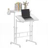 Dual Desktop Height Adjustable Rolling Desk with Wheels, Treadmill Desk for Walking Pad