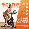 Exercise Bike, Adjustable Magnetic Resistance Stationary Bike, Indoor Cycling Bike for Home Cardio, Workout Bike with Silent Belt Drive