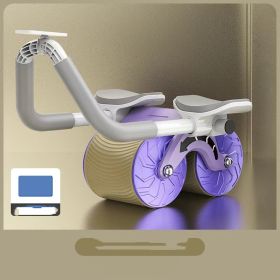 Abdominal Wheel Automatic Rebound AB Roller Abdominal Wheel Elbow Support Men And Women Belly Slimming Belly Fitness Equipment (Specification: Purple High Luxury)